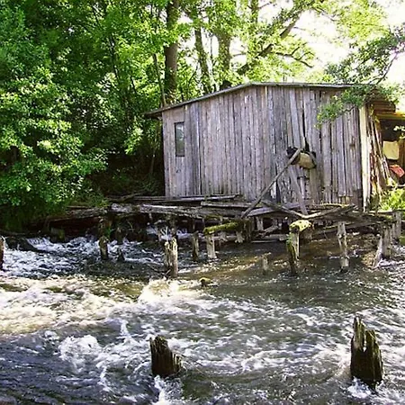 Pokojekajaki Dd スヲーネガシエ